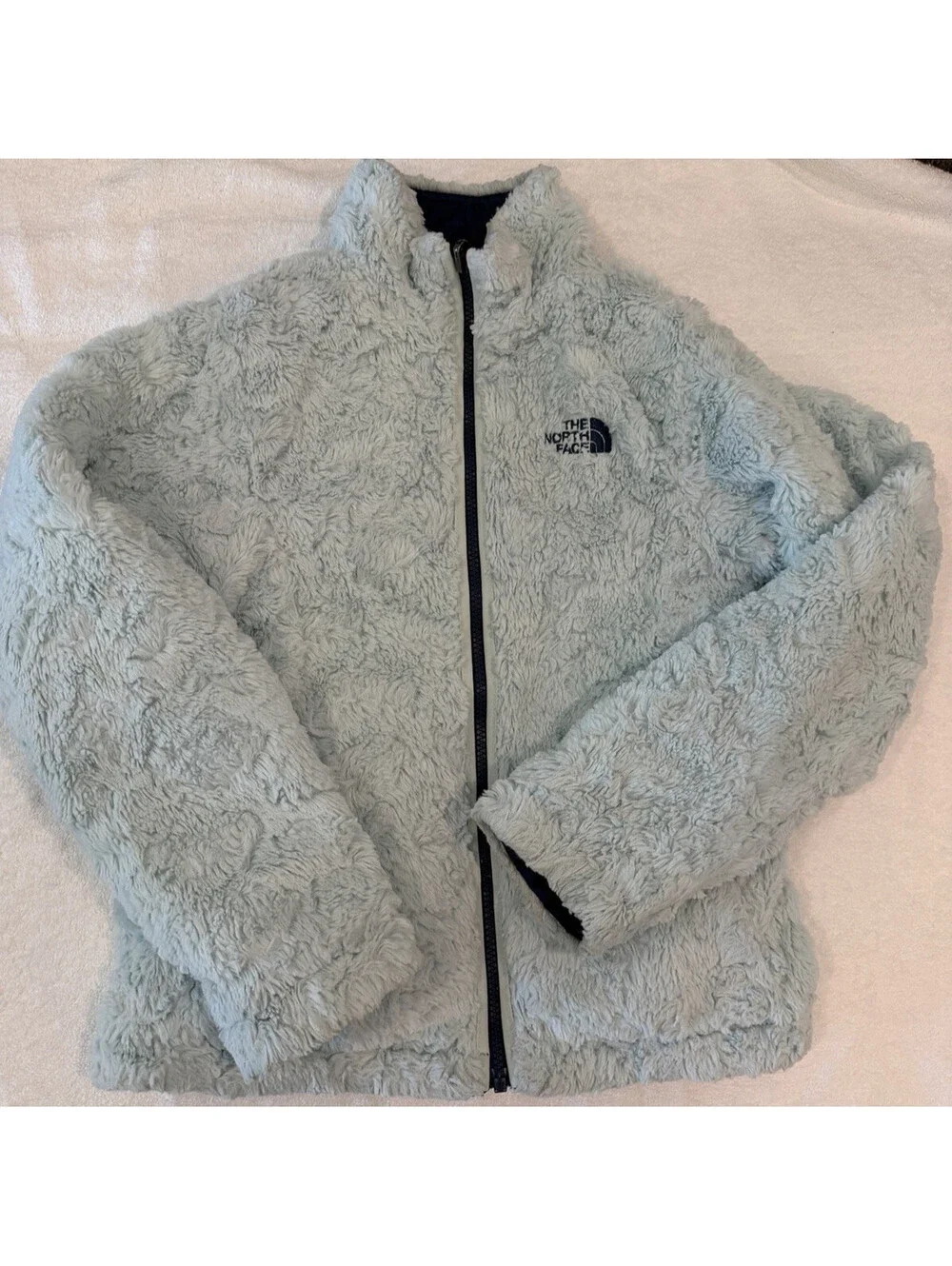 The North Face brand north